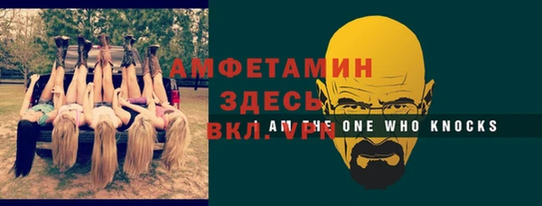 гидра Богданович
