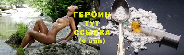 гидра Богданович